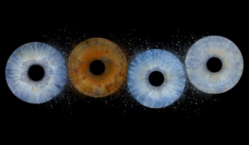 Studio-Koudijs-Speciale-bewerking-4personen_8